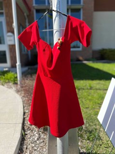 Red Dress hanging outside office